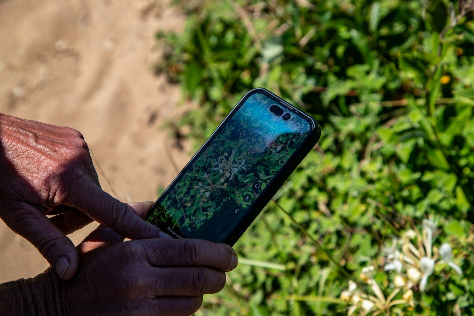 Person holding a phone showing Google Maps search results for nearby local businesses on a city street